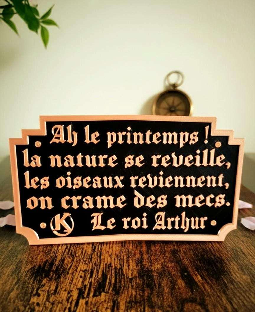 Cadre Kaamelott 3D - Citation Arthur Le Printemps