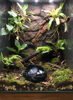 Gamelle terrarium effet roche volcanique – Coupelle eau et nourriture – Gecko, Reptiles, Amphibiens