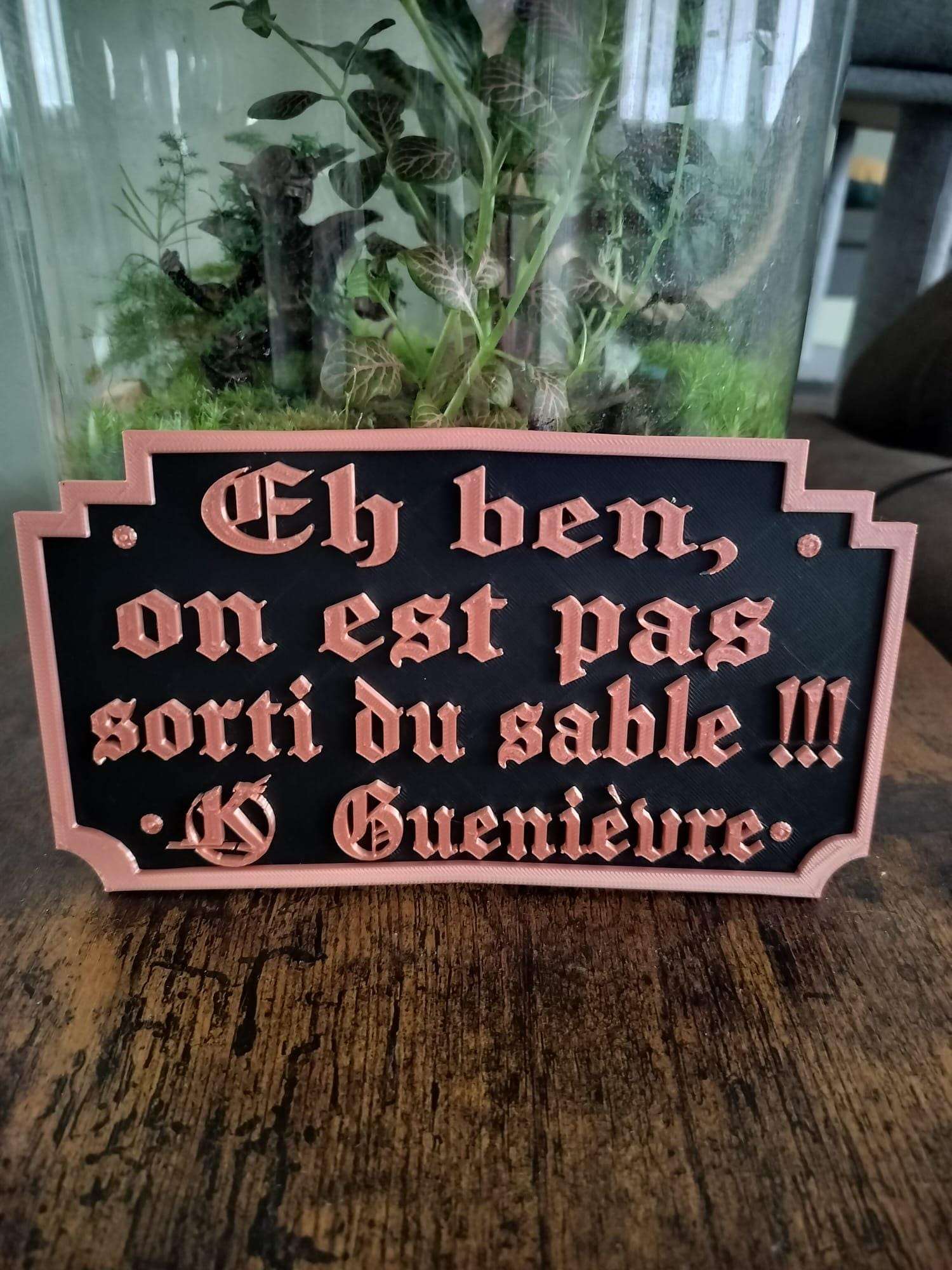 Plaque Kaamelott Citation Guenièvre - Déco Murale Geek - Réplique Culte Impression 3D