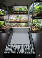 Nourrisseur mural pour terrarium personnalisable – Anti-évasion – Gecko, Pogona, Reptiles