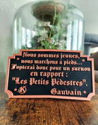 Cadre Kaamelott Citation "Les Petits Pédestres" - Déco Murale Humour - Impression 3D