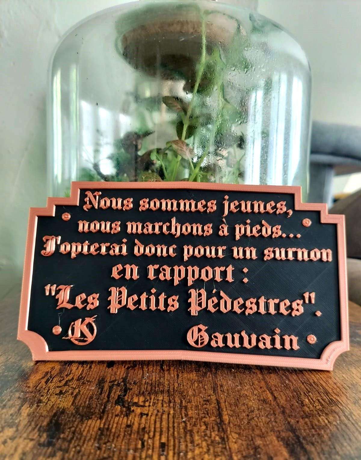 Cadre Kaamelott Citation "Les Petits Pédestres" - Déco Murale Humour - Impression 3D