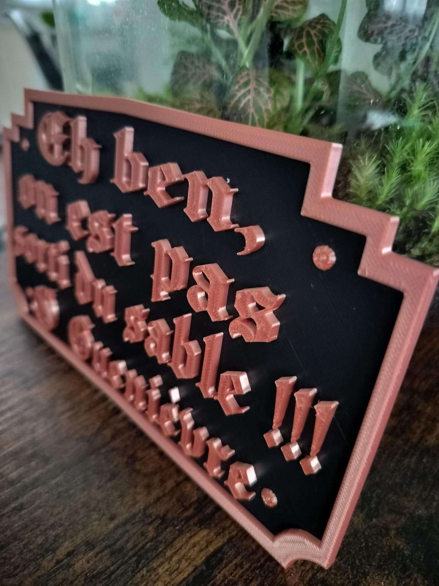 Plaque Kaamelott Citation Guenièvre - Déco Murale Geek - Réplique Culte Impression 3D