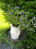 Cache Pot Chouette-hibou Design en Impression 3D – Décoration Nature Élégante