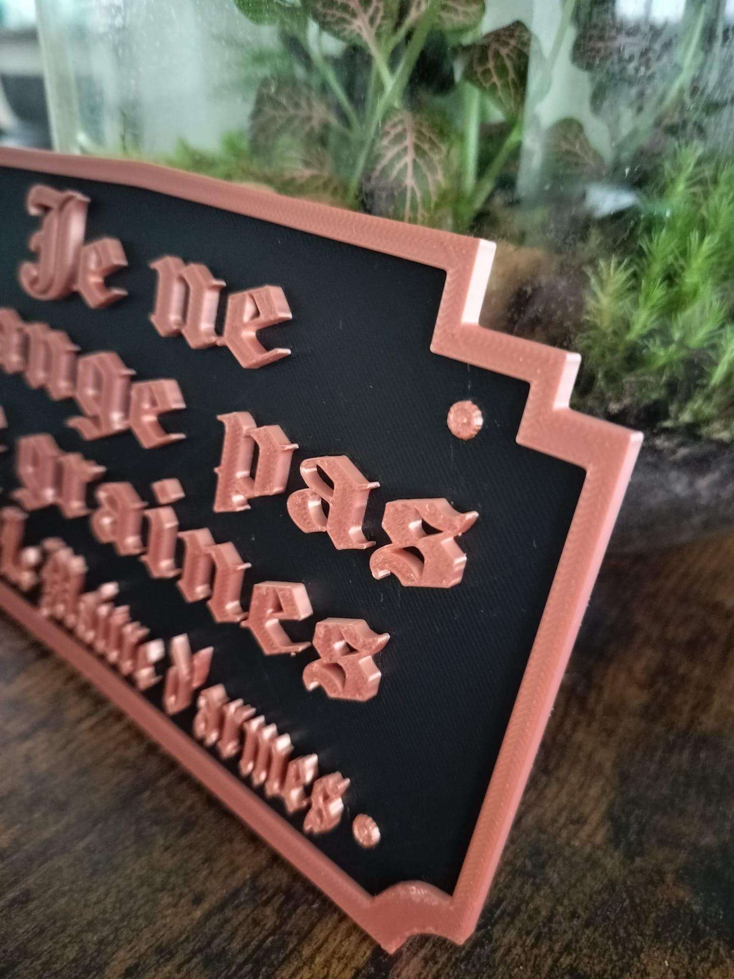 Plaque Murale Kaamelott – Citation Maître d'Armes « Je ne mange pas de graines »