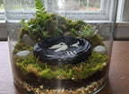 Gamelle terrarium effet roche volcanique – Coupelle eau et nourriture – Gecko, Reptiles, Amphibiens