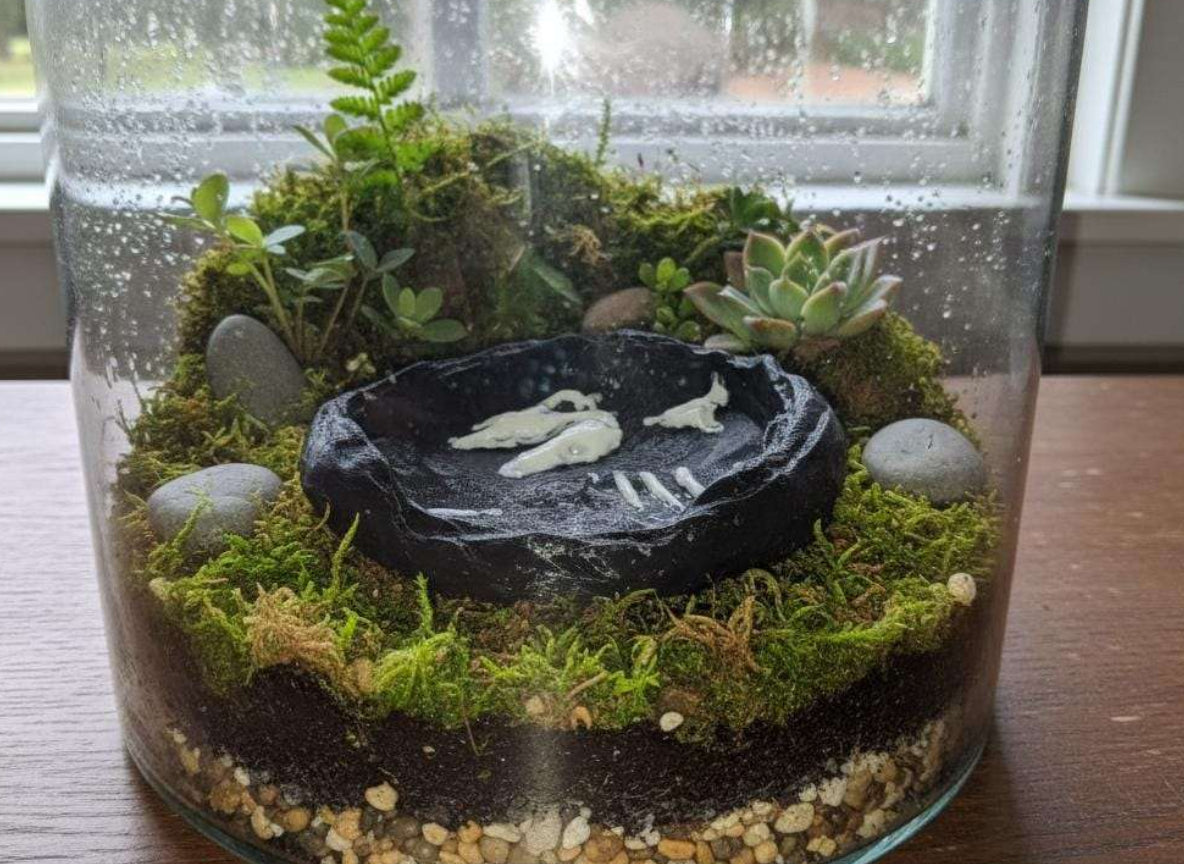 Gamelle terrarium effet roche volcanique – Coupelle eau et nourriture – Gecko, Reptiles, Amphibiens