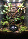 Gamelle terrarium effet roche volcanique – Coupelle eau et nourriture – Gecko, Reptiles, Amphibiens