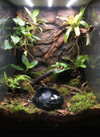 Gamelle terrarium effet roche volcanique – Coupelle eau et nourriture – Gecko, Reptiles, Amphibiens