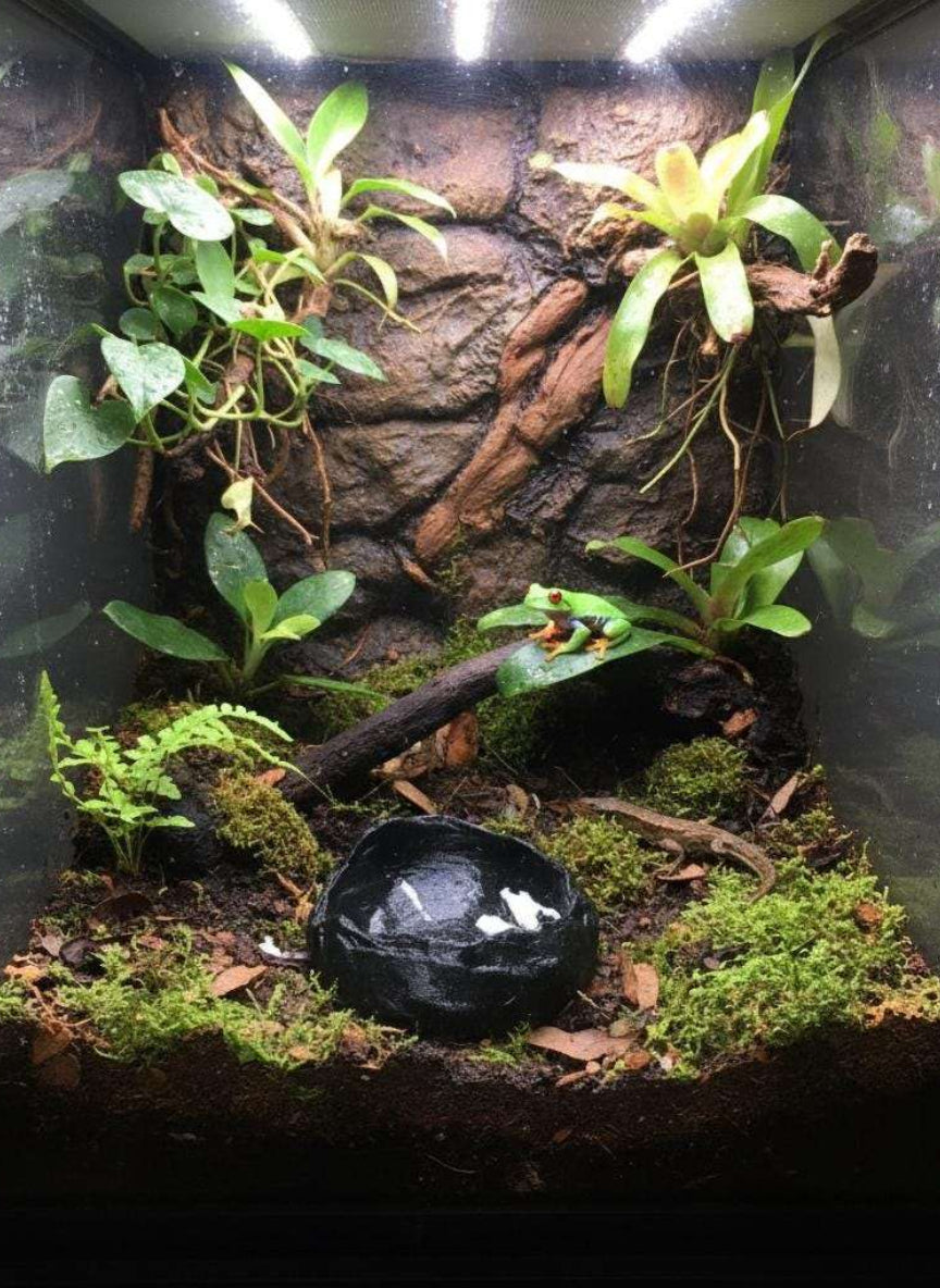 Gamelle terrarium effet roche volcanique – Coupelle eau et nourriture – Gecko, Reptiles, Amphibiens