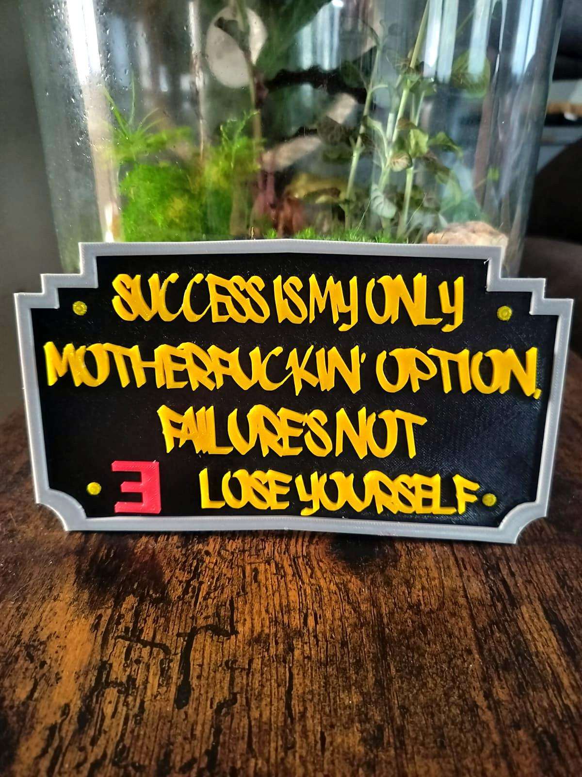 Plaque Murale Eminem Lose Yourself 3D - Citation Motivante Rap